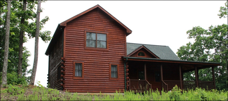 Professional Log Home Borate Application  Pickaway County, Ohio